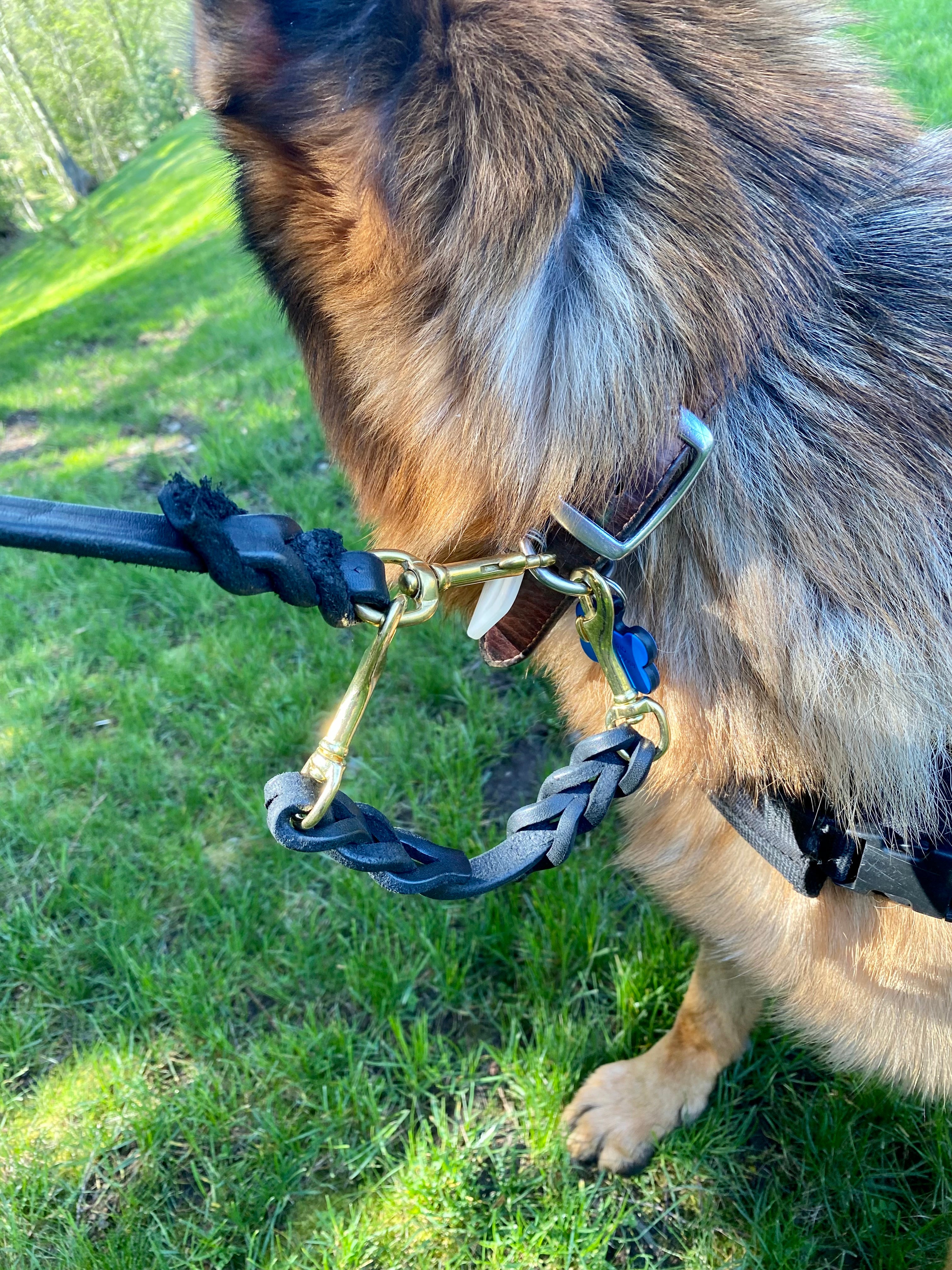 Leather Safety Cord Attachment Strap for Dog Collars and Harnesses (8092414836973)