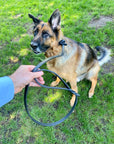 Ravenox Leather Slip Lead Dog Leash, Soft, Adjustable Handmade Black Latigo Amish Made in the USA No Hardware Leash Collar Combo for Dogs of All Sizes (8151699783917)
