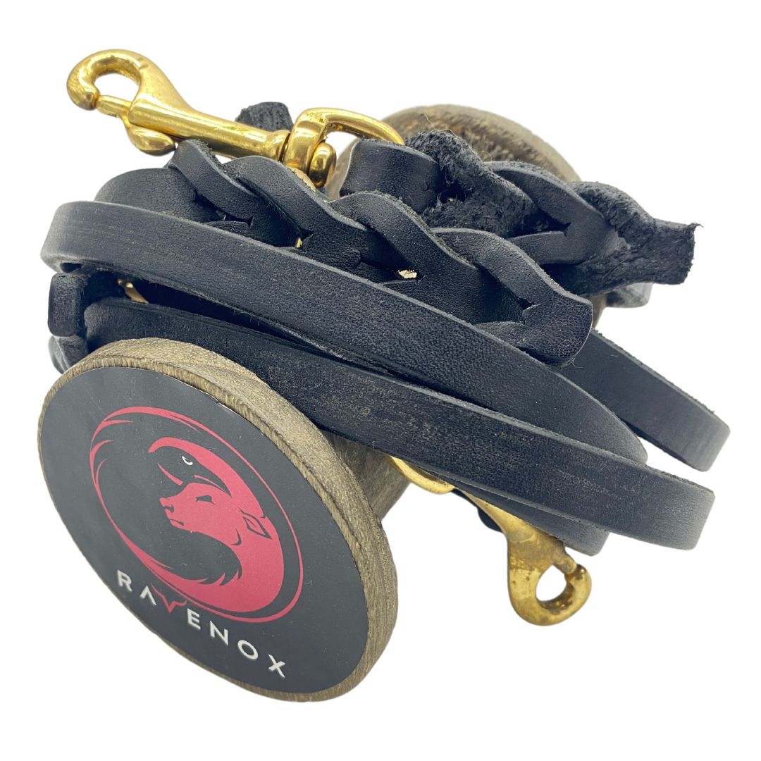 Black Ravenox Multifunctional Leather Dog Leash with solid brass hardware, displaying 8-in-1 versatility, shown in a close-up swatch highlighting quality craftsmanship and material. (7838529061101)