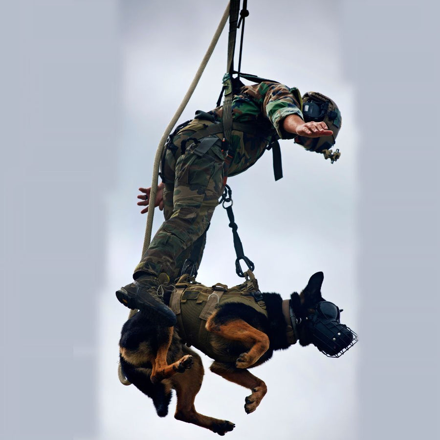 Spie Roping Ravenox SPIE Ropes - Durable Insertion & Extraction Systems