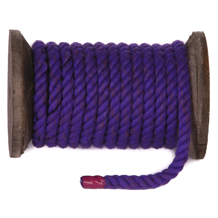 Soft Silk Rope Solid Braided Twisted Ropes,10m Durable and Strong All  Purpose Twine Cord Rope String Thread Cord (Purple)