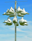 Deluxe Gourd Rack: 6, 12 or 18 Unit (6487653633)