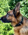 Ravenox Handmade Leather Dog Collar | USA Amish Made Latigo Leather Dog Collars for Small, Medium & Large Dogs | Brown and Black Pet Collar (7923369541869)