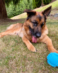 Knotted Rope Dog Chew Ball Toy Colors Dental Hygiene and Health Play Tug Aqua Blue (6998480289992)