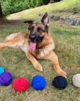 Knotted Rope Dog Chew Ball Toy Colors Dental Hygiene and Health Play Tug (6998480289992)