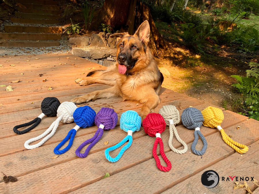 Ravenox dog toys tug chew dental hygiene fetch training knotted colors twisted cotton rope  balls pet - Red Blue Black White Purple Gold Grey Tan  (4290659024986)