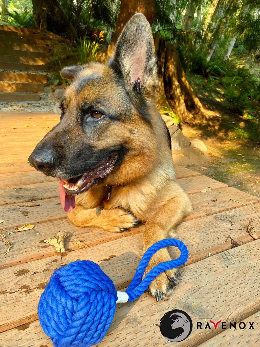 Ravenox dog toys tug chew dental hygiene fetch training knotted colors twisted cotton rope  balls pet - Red Blue Black White Purple Gold Grey Tan  (4290659024986)