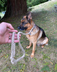 Ravenox Handmade Hemp Slip Lead Dog Leash (7105501888712)