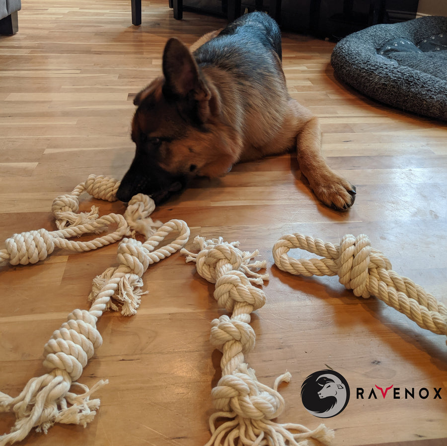 100% Organic Cotton Rope Knotted Dog Chew Toys Puppies Play Dental Hygiene (4288353566810)