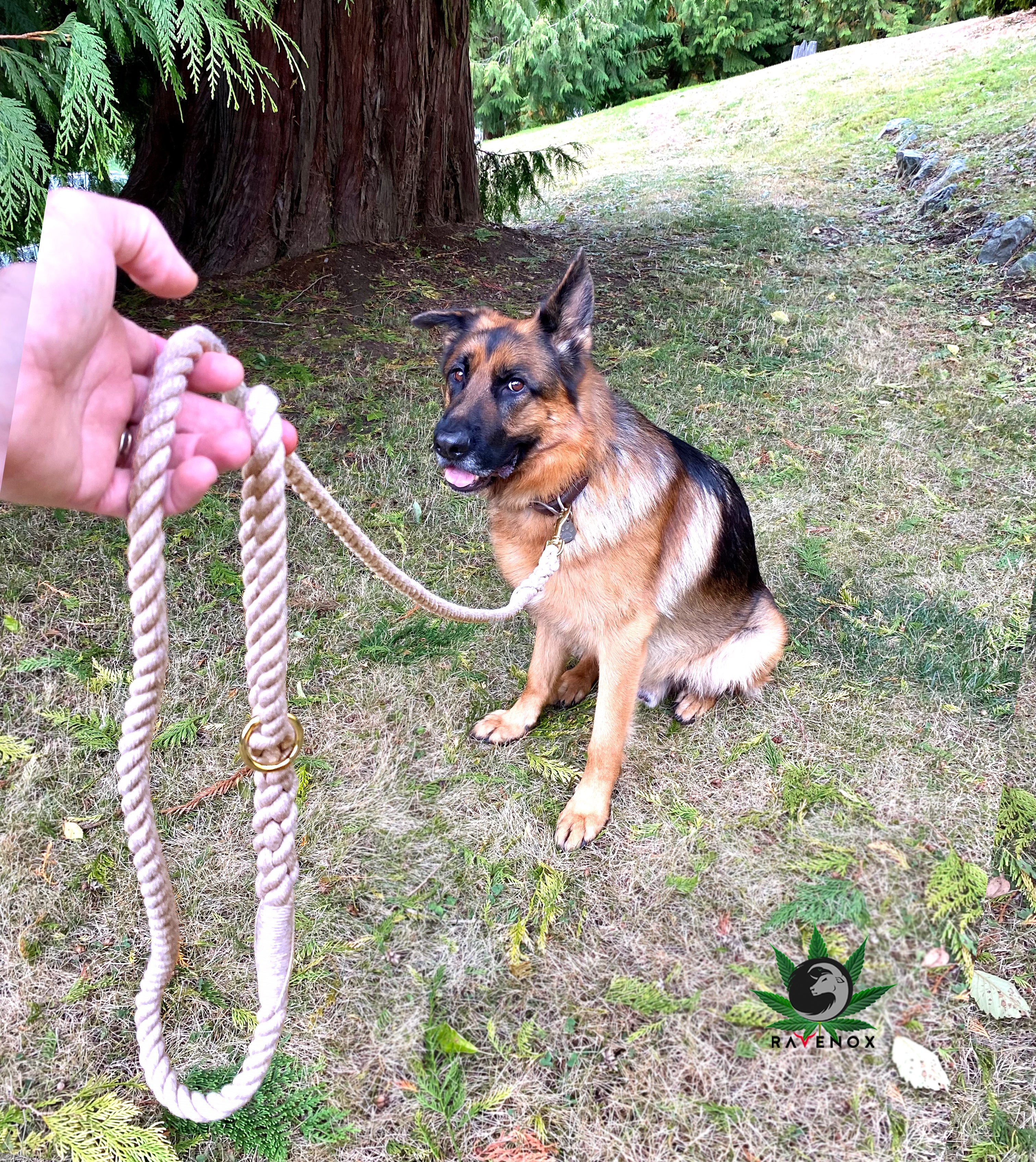 Handmade Hemp Rope Dog Leash (7105346142408)