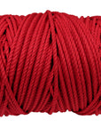 100% Natural Red Macramé Cotton Cord 3mm x 109 Yard Craft Cord for DIY Crafts Knitting Plant Hangers Yard Twine String Cord Colored Cotton Rope Christmas Wedding Décor (7472851976429)