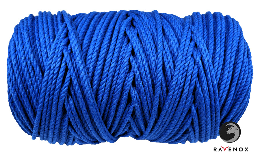Twisted Cotton Rope (Royal Blue) (3869188673)