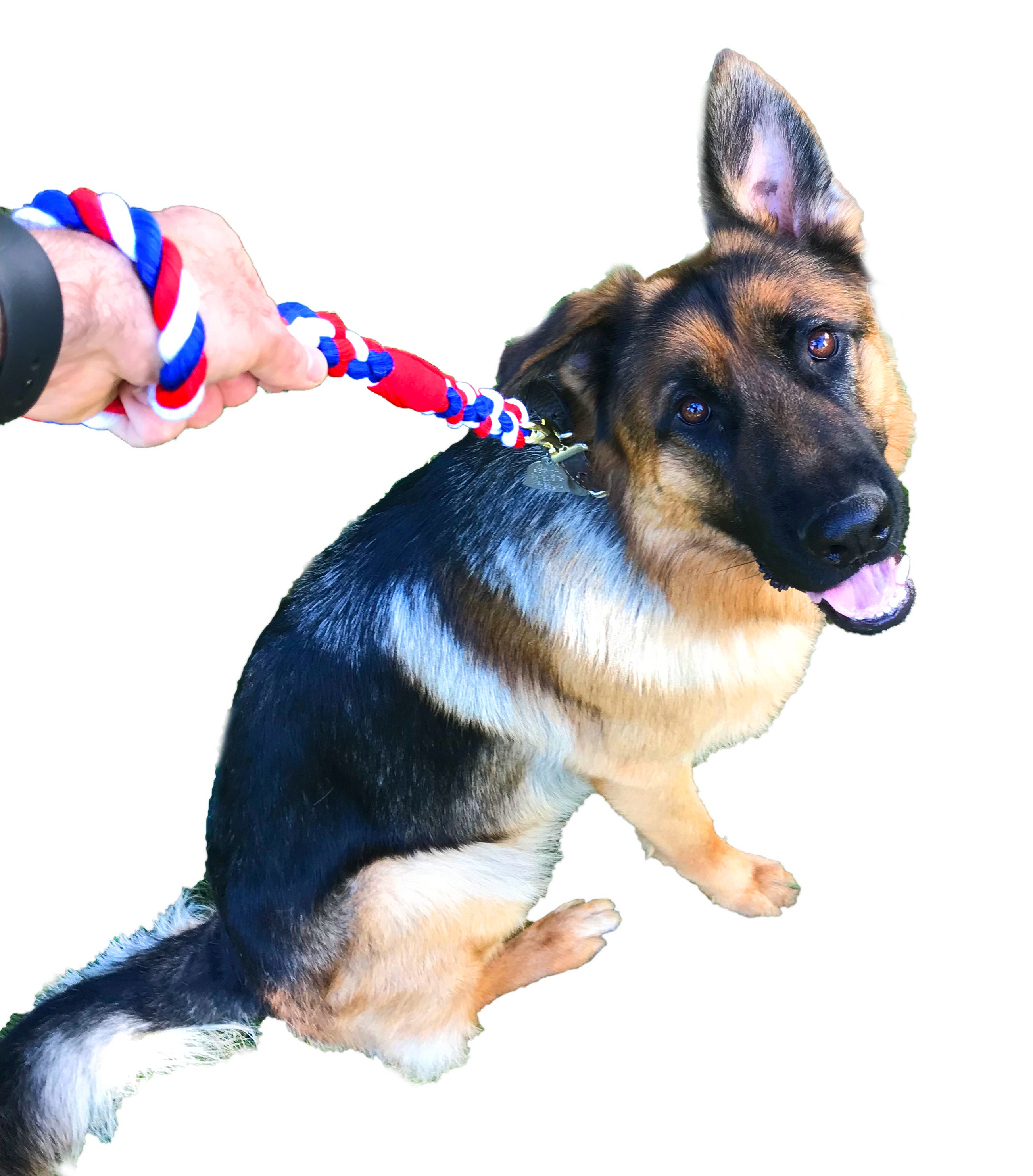 Handmade Cotton Traffic Handle Short Dog Leash (1778246254682)