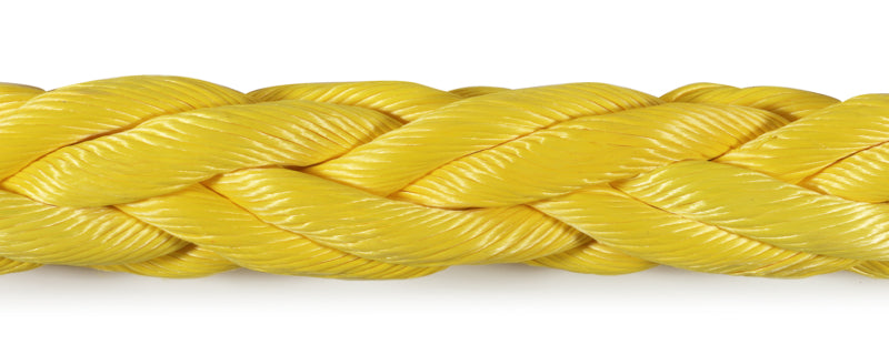 Proton®-8 (4545293090906)