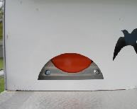 Ravenox Universal Sparrow and Starling Eliminator Round Box House Trap (4327859126362)