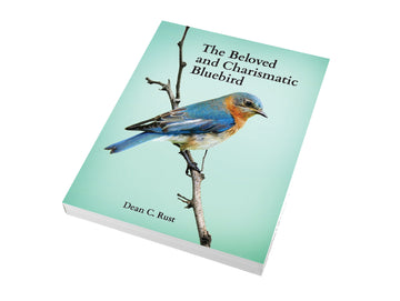 Book - The Beloved and Charismatic Bluebird (4327793426522)