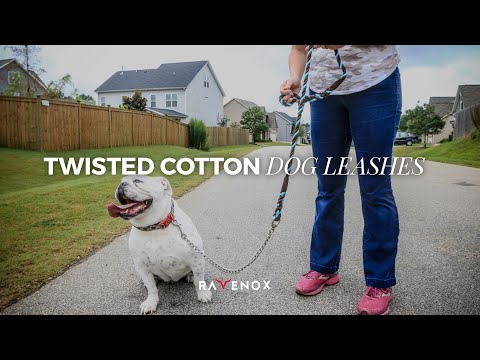 Correa para perro con plomo antideslizante de algodón hecha a mano