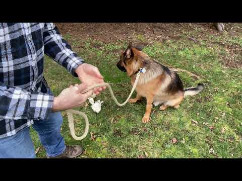 Correa para perro hecha a mano con cuerda de cáñamo