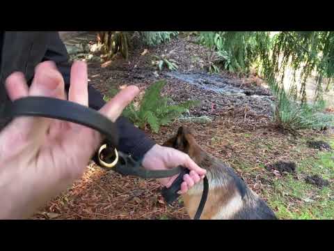 6 FT Braided Leather Dog Leash