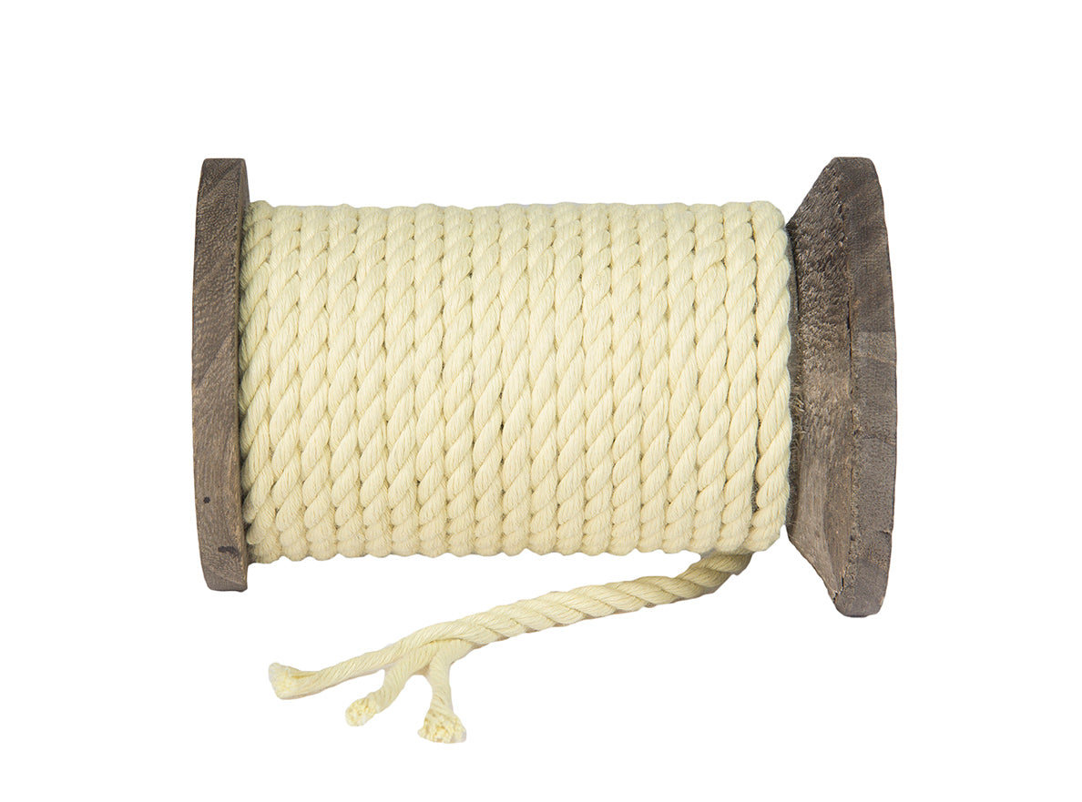 Ravenox Kevlar Rope and Twine | Twisted or Braided Kevlar Ropes 1/8-Inch x 10-Feet / Braided