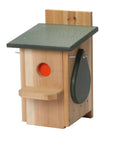 Ravenox Sparrow and Starling Eliminator Trap (6494369857)